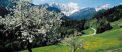 6804_fruehling_h.jpg